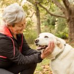 For the Love of Buddy – Why Granny Needs a Dog