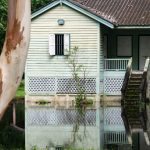 Old wooden abandoned house in a jungle with flooded from the lake