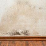 Black mould buildup in the corner of an old house