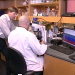 Buck Institute for Research on Aging