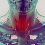 Human anatomy,sore throat infection, chest, rib cage. 3d illustration.