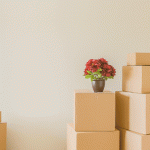 Moving boxes