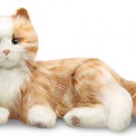 Hasbro Companion Cat