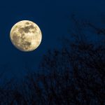 Moon rising in the sky