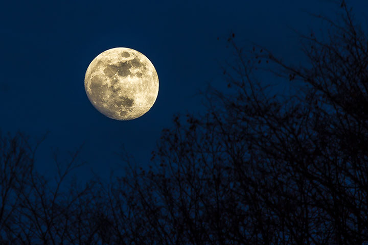 Moon rising in the sky