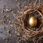 Nest Egg