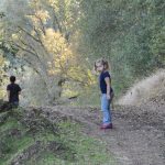 Little girl in the woods