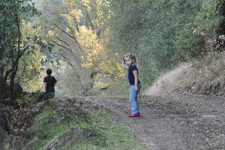 Little girl in the woods