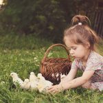 Little girl with chicks
