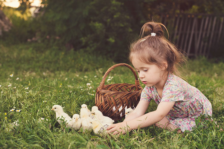 Little girl with chicks