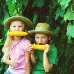 summer fun, corn on the cob