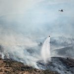 Wildfire
